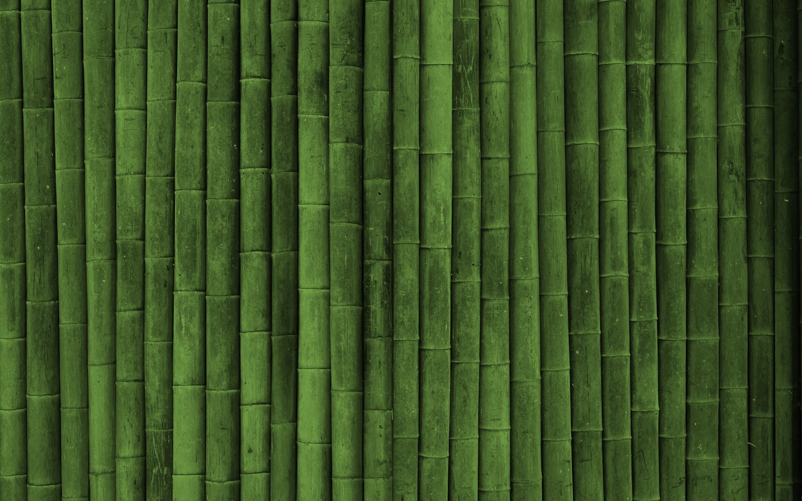 I choose this because its a texture of bamboo, very hard and not soft