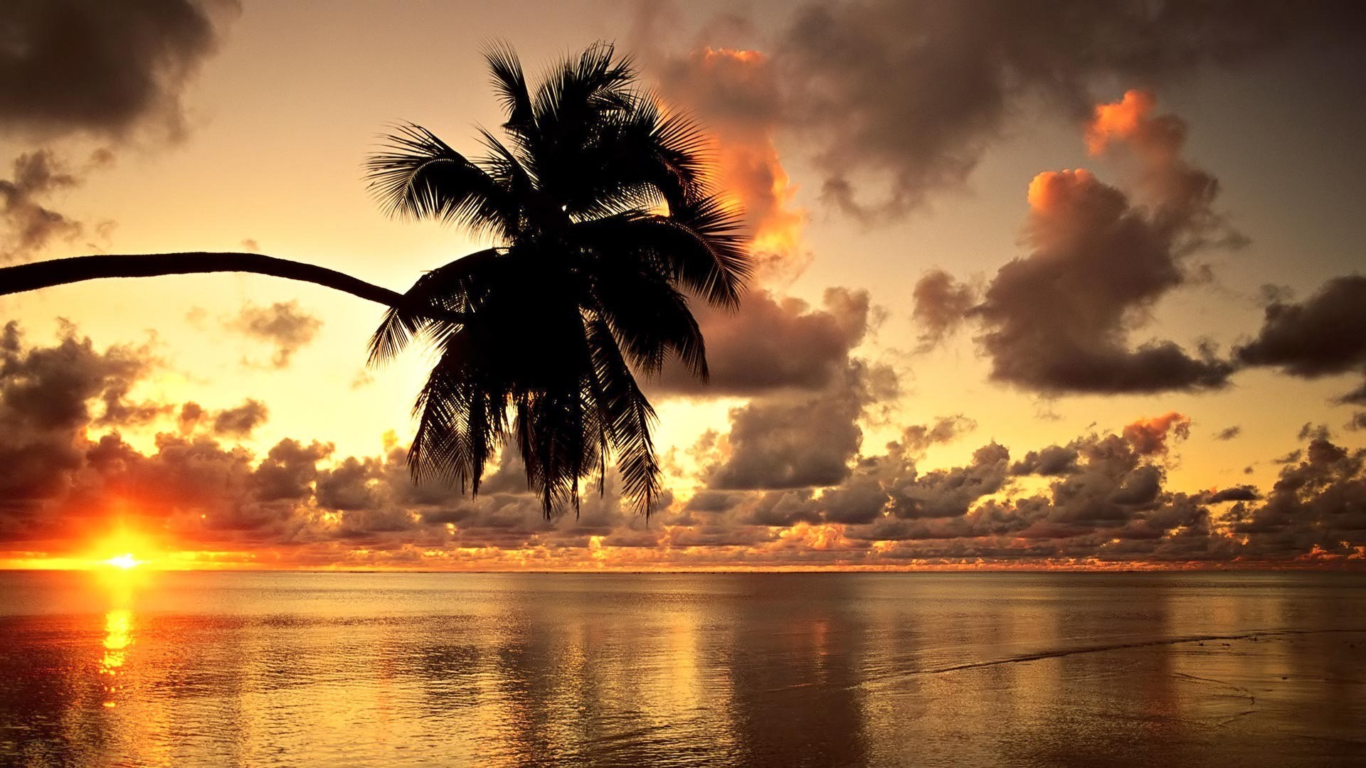 HD Beach Wallpapers 1080P Home Posts tagged Hawaiian Sunset HD Beach Wallpapers 1080p