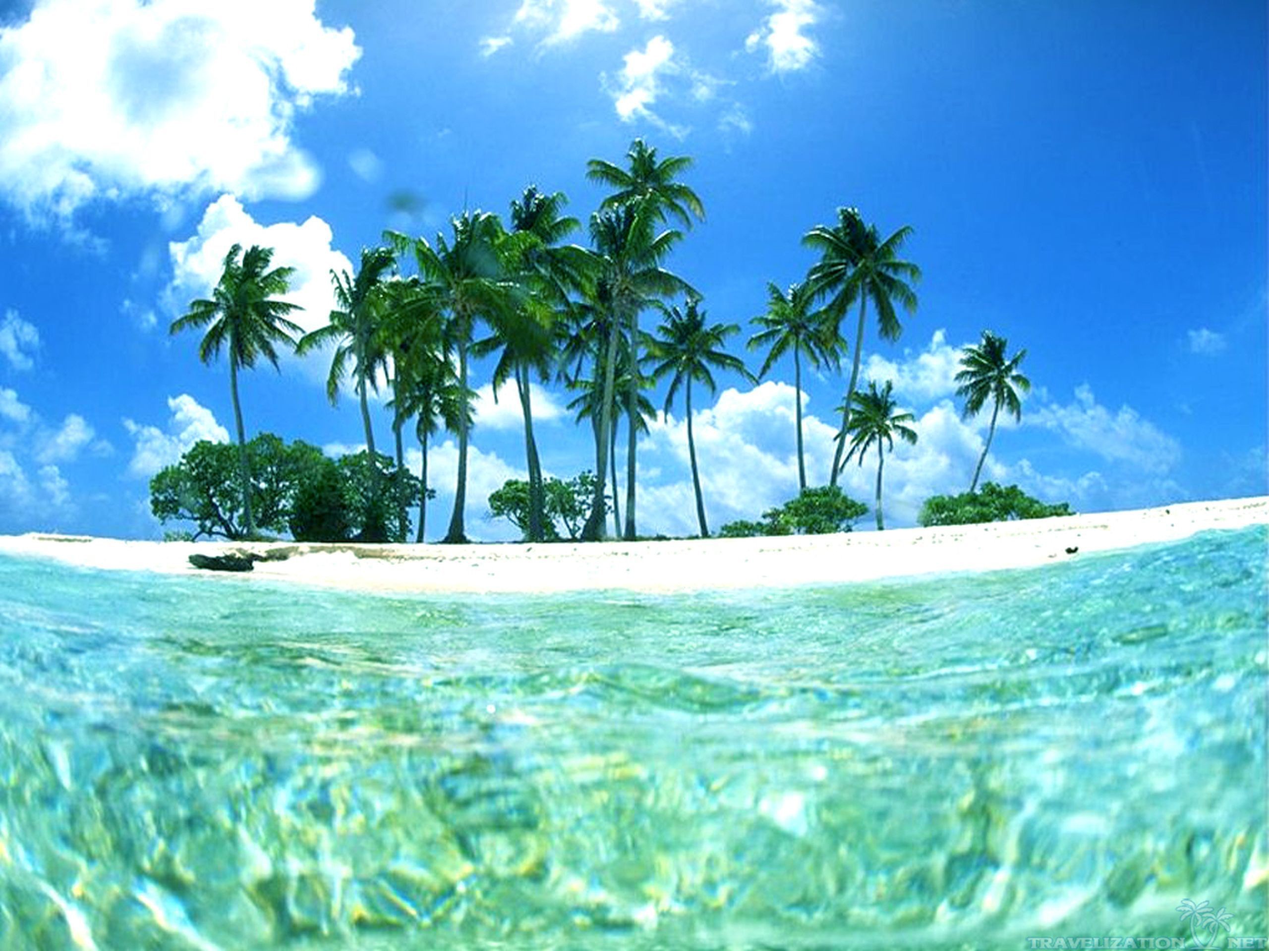 Tropical Beaches Hd Background Wallpaper 51 HD Wallpapers #7279