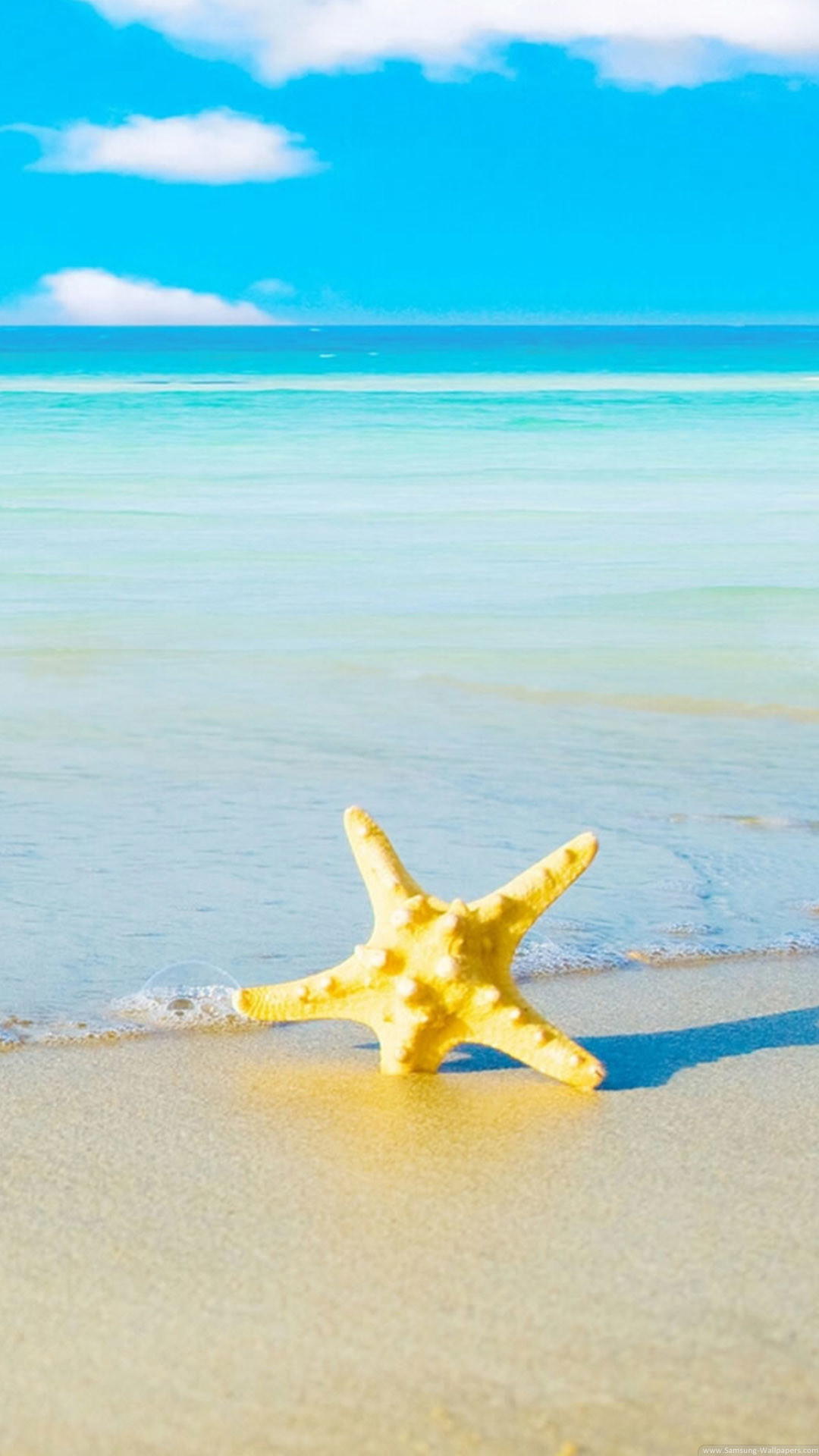 Starfish Beach iPhone 6 Plus HD Wallpaper …