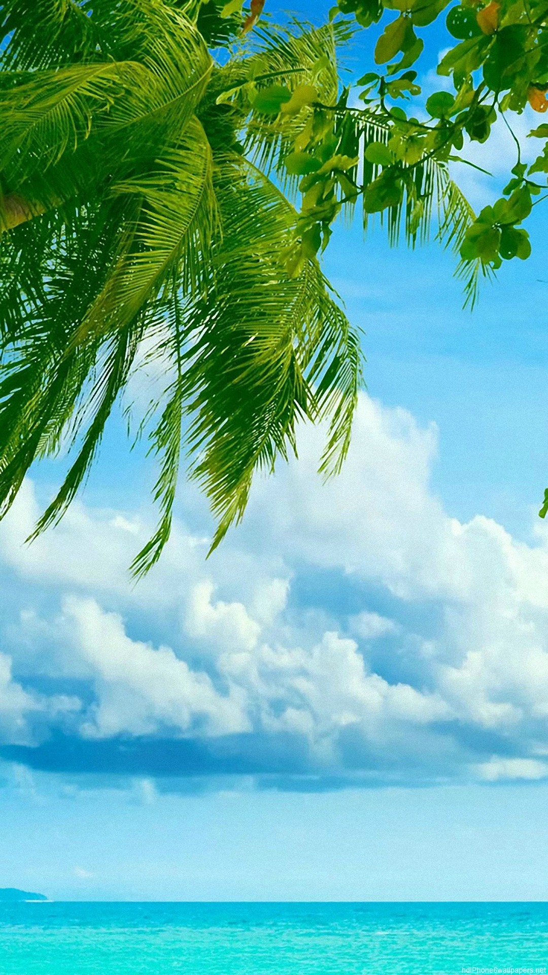 HD sea tree beach clouds tropical iphone 6 wallpaper