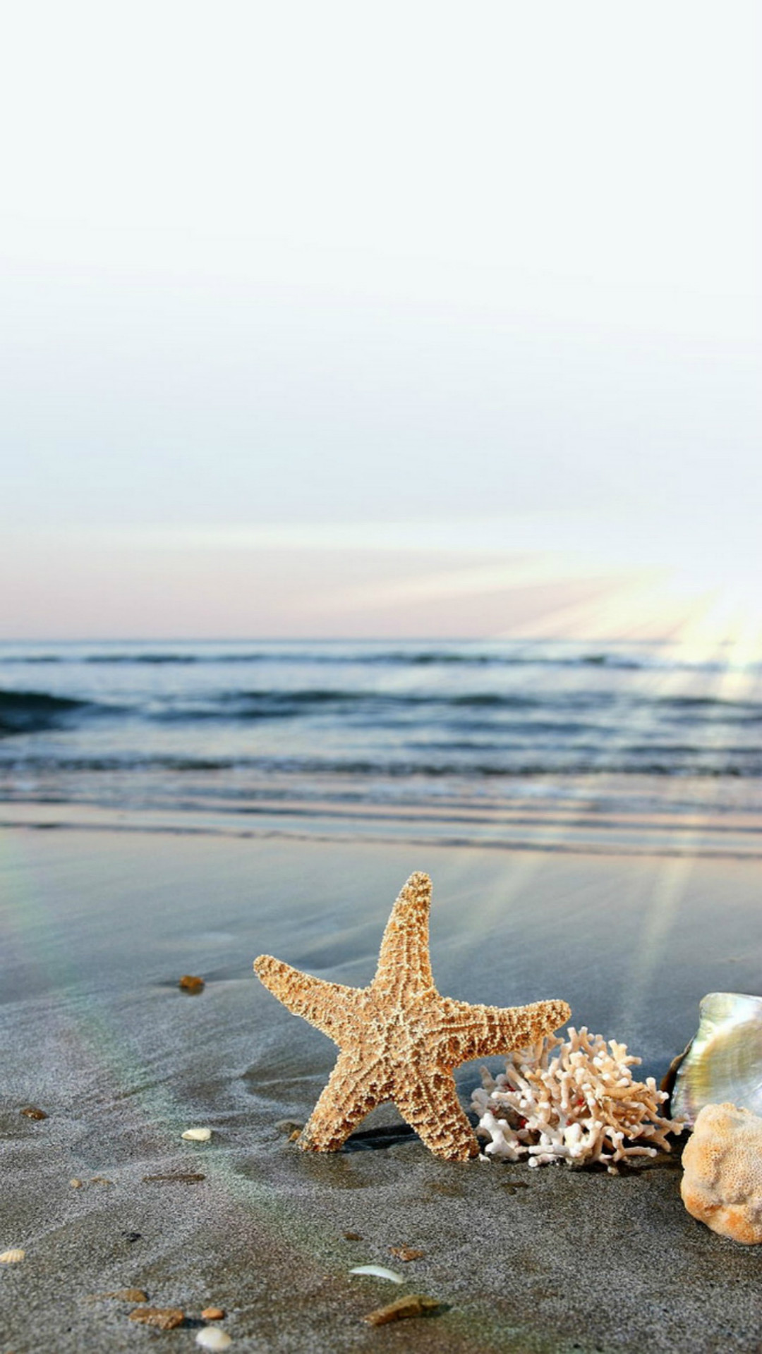 Starfish Sun Waves Beach #iPhone #plus #wallpaper