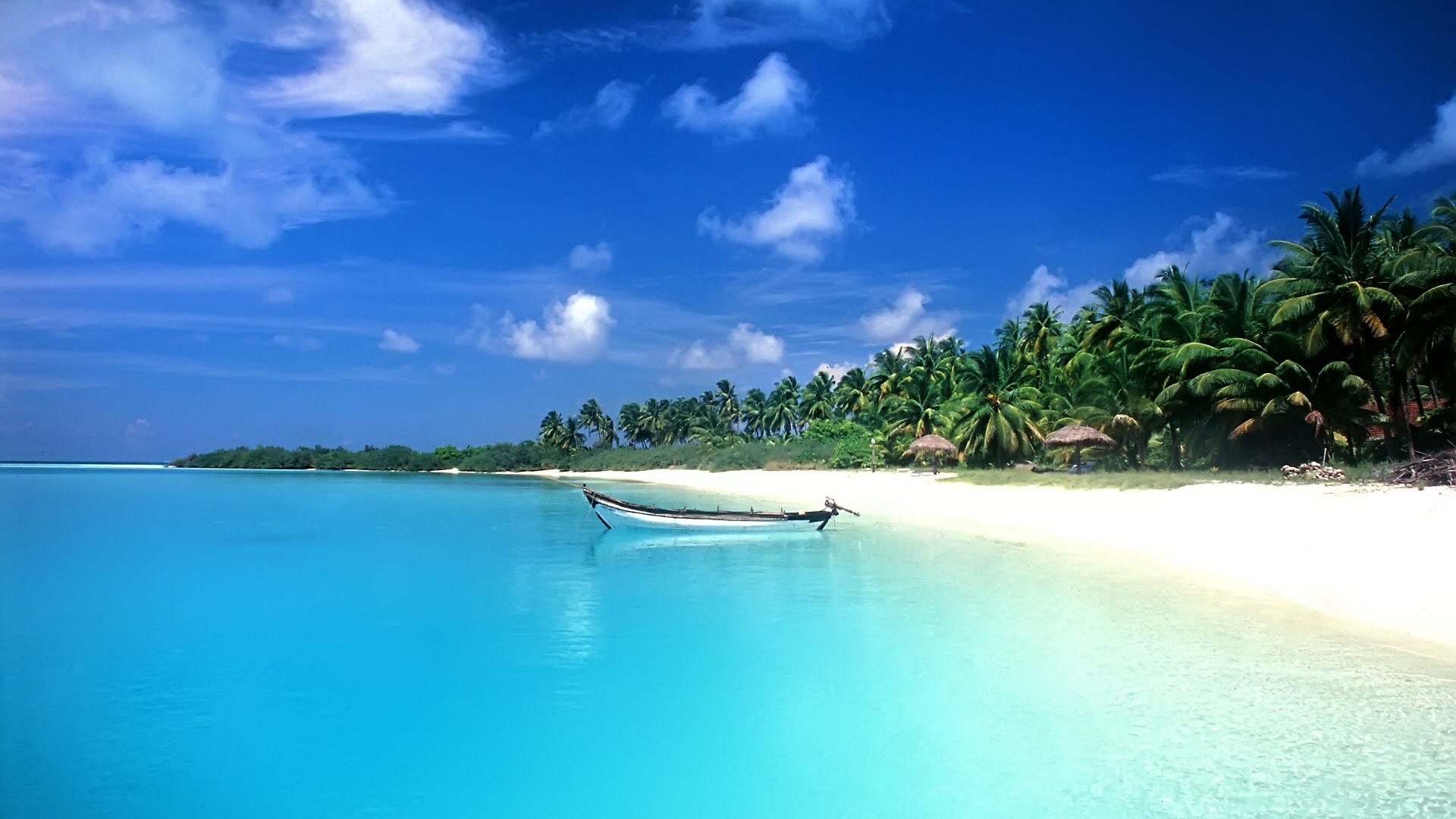 Beach wallpaper of colva Beach Backgrounds HD Wallpapers