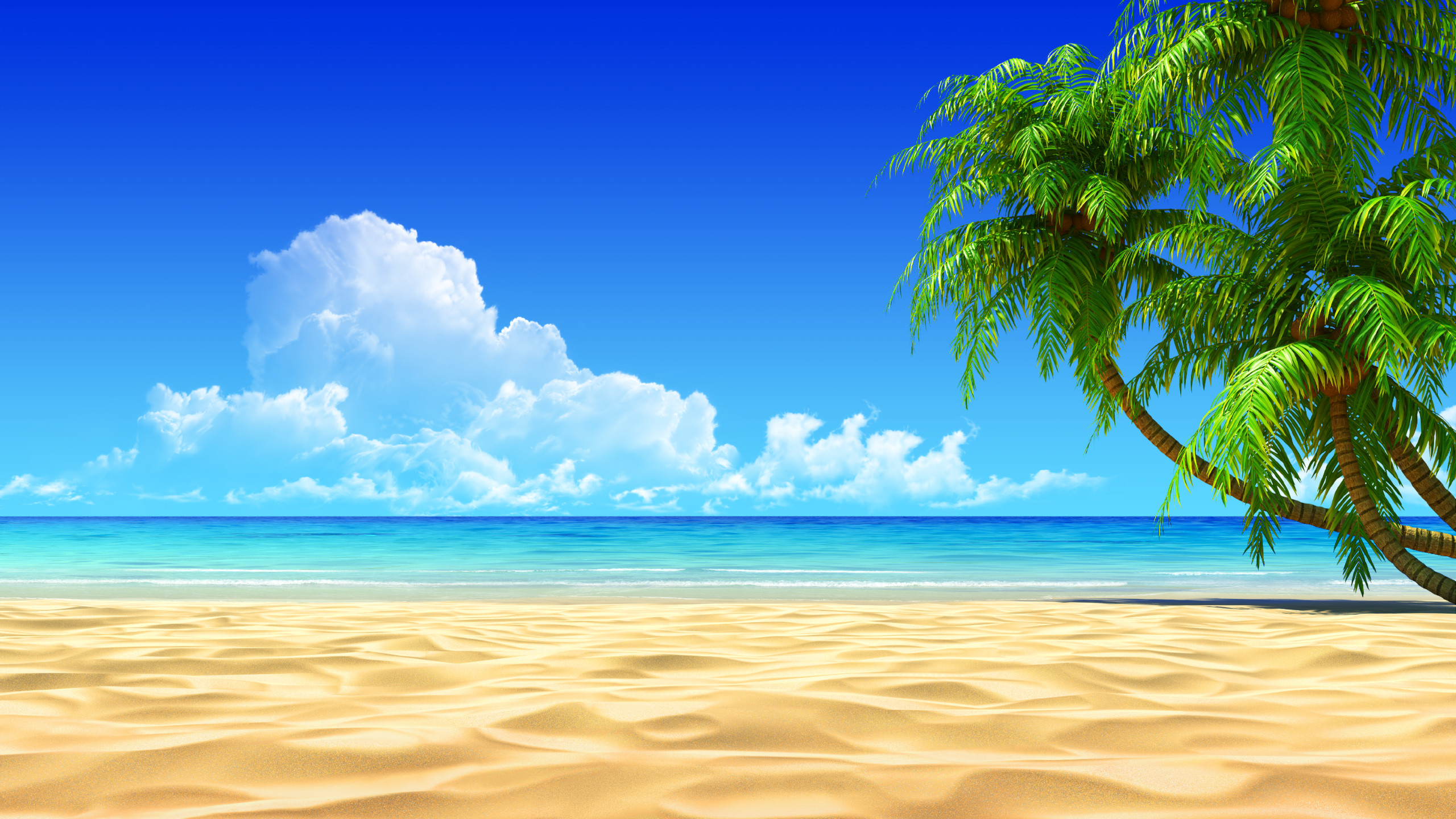 Image for Tropical Beaches With Palm Trees Wallpapers Desktop Background