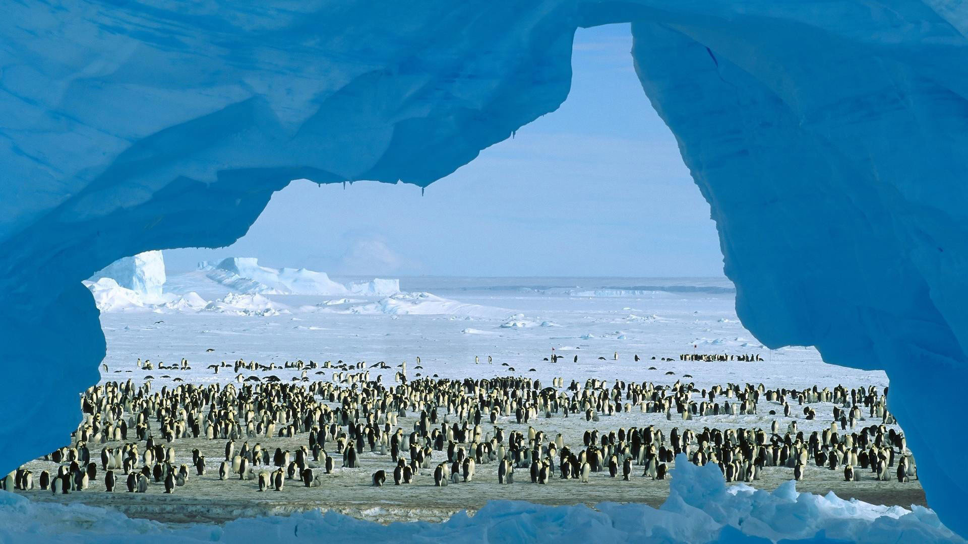hd pics photos travel antarctica best world tour desktop background  wallpaper
