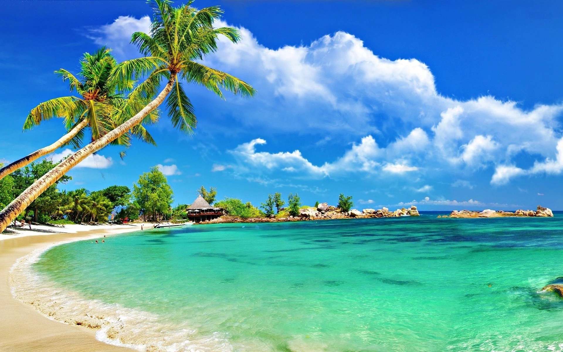 awesome tropical beach top wide wallpapers for desktop free