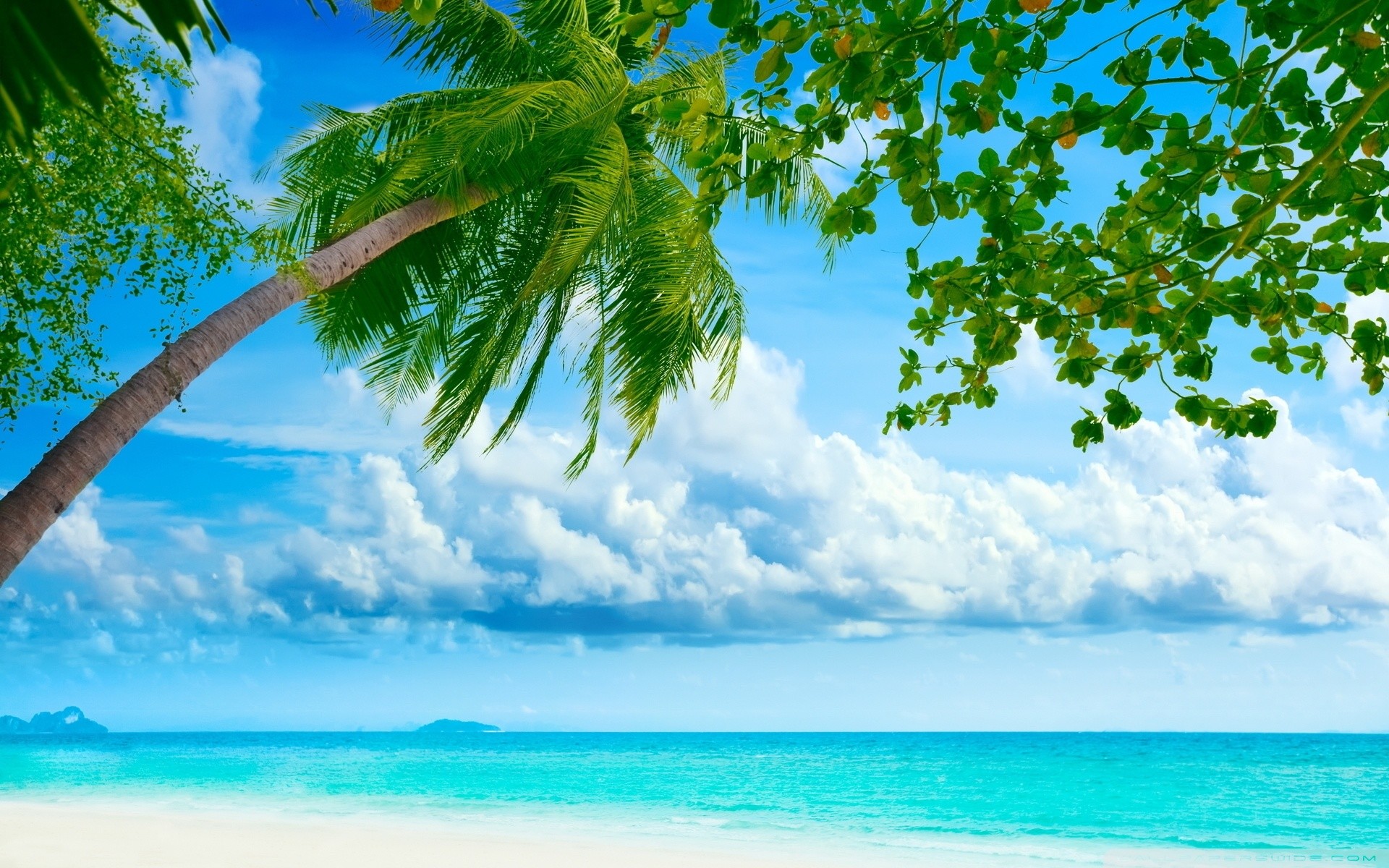 Tropical Beach Resorts HD Wide Wallpaper for Widescreen