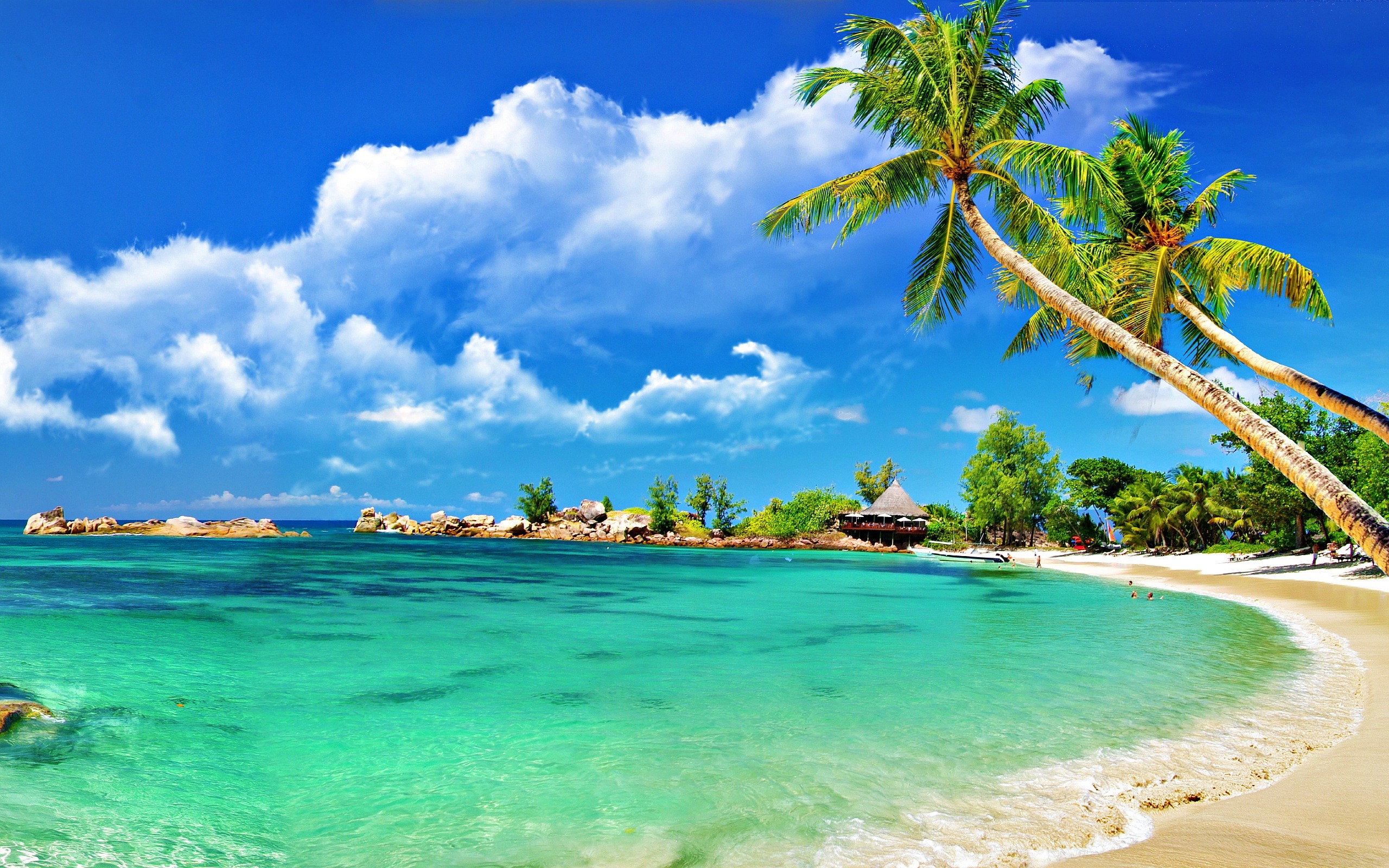 50 AMAZING BEACH WALLPAPERS FREE TO DOWNLOAD. Beach WallpaperHd