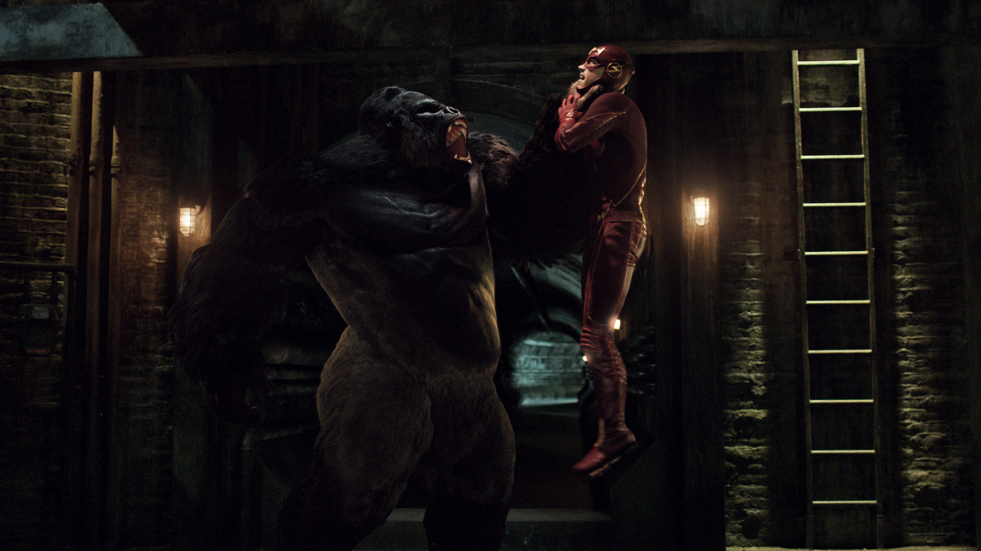 Legends Of Tomorrow Season 3 Adds Gorilla Grodd, Bizarro Leonard Snart SPOILERS