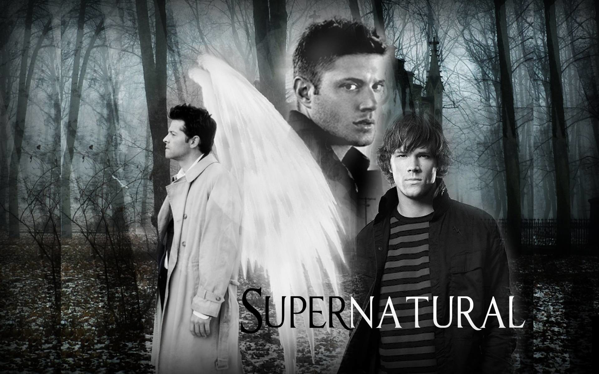 Supernatural supernatural wallpaper 1 – Supernatural / skillet Picture