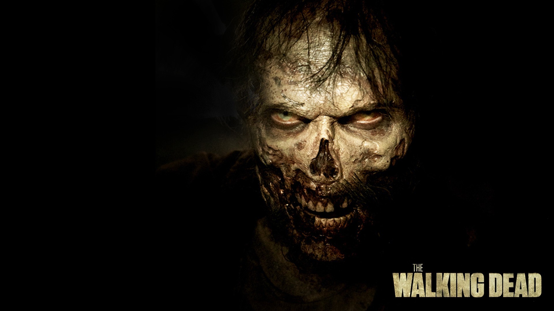 The Walking Dead Season 5 – Them Walking Dead Zombie Wallpaper in 1920